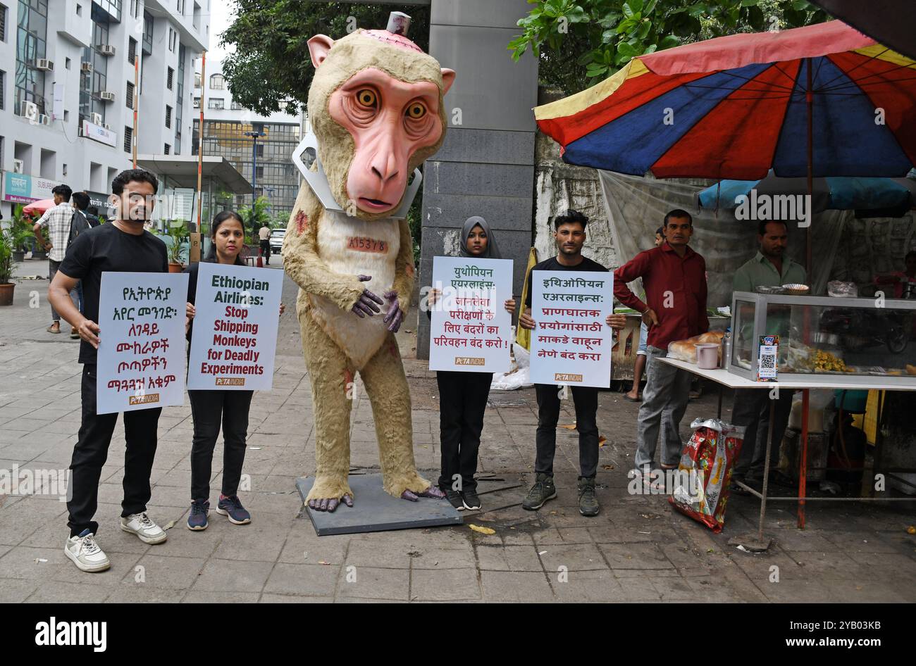 Mumbai, Inde. 16 octobre 2024. Des membres de People for the Ethical Treatment of Animals (PETA) tenant des pancartes se tiennent à côté d’un mannequin de singe géant blessé et tourmenté pour sensibiliser et exhorter les compagnies aériennes éthiopiennes à cesser de transporter des macaques à longue queue menacés pour les utiliser dans des expériences devant le bureau de la compagnie aérienne à Mumbai. (Photo par Ashish Vaishnav/SOPA images/SIPA USA) crédit : SIPA USA/Alamy Live News Banque D'Images