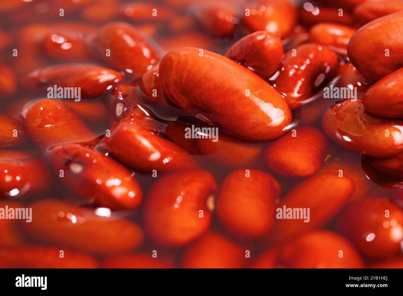 Gros plan de haricots rouges ou de haricots rouges. Haricots rouges dans l'eau. Banque D'Images
