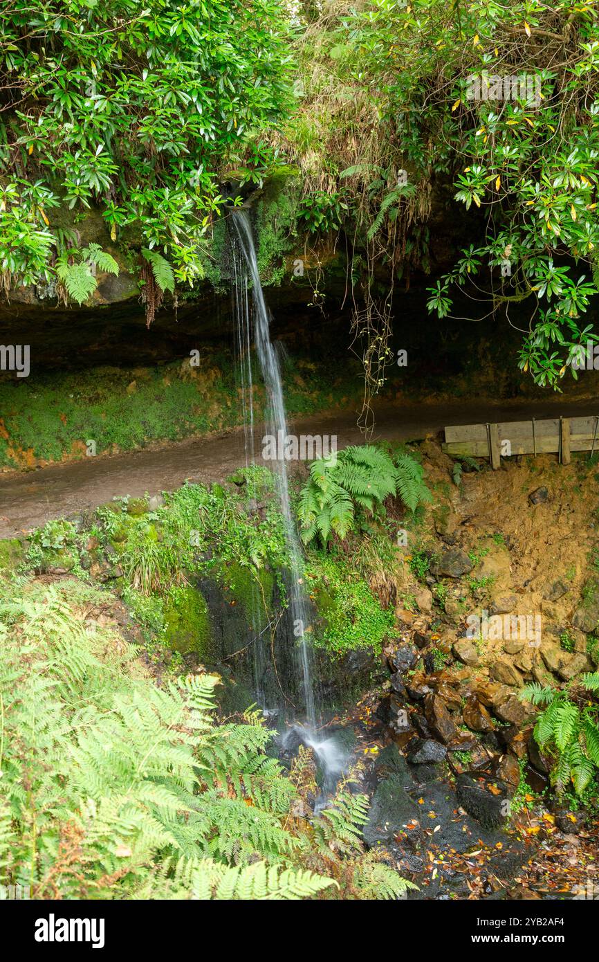 Chemin derrière la cascade de Yad sur Maspie Burn sur le domaine de Falkland près de Falkland Fife Écosse Banque D'Images