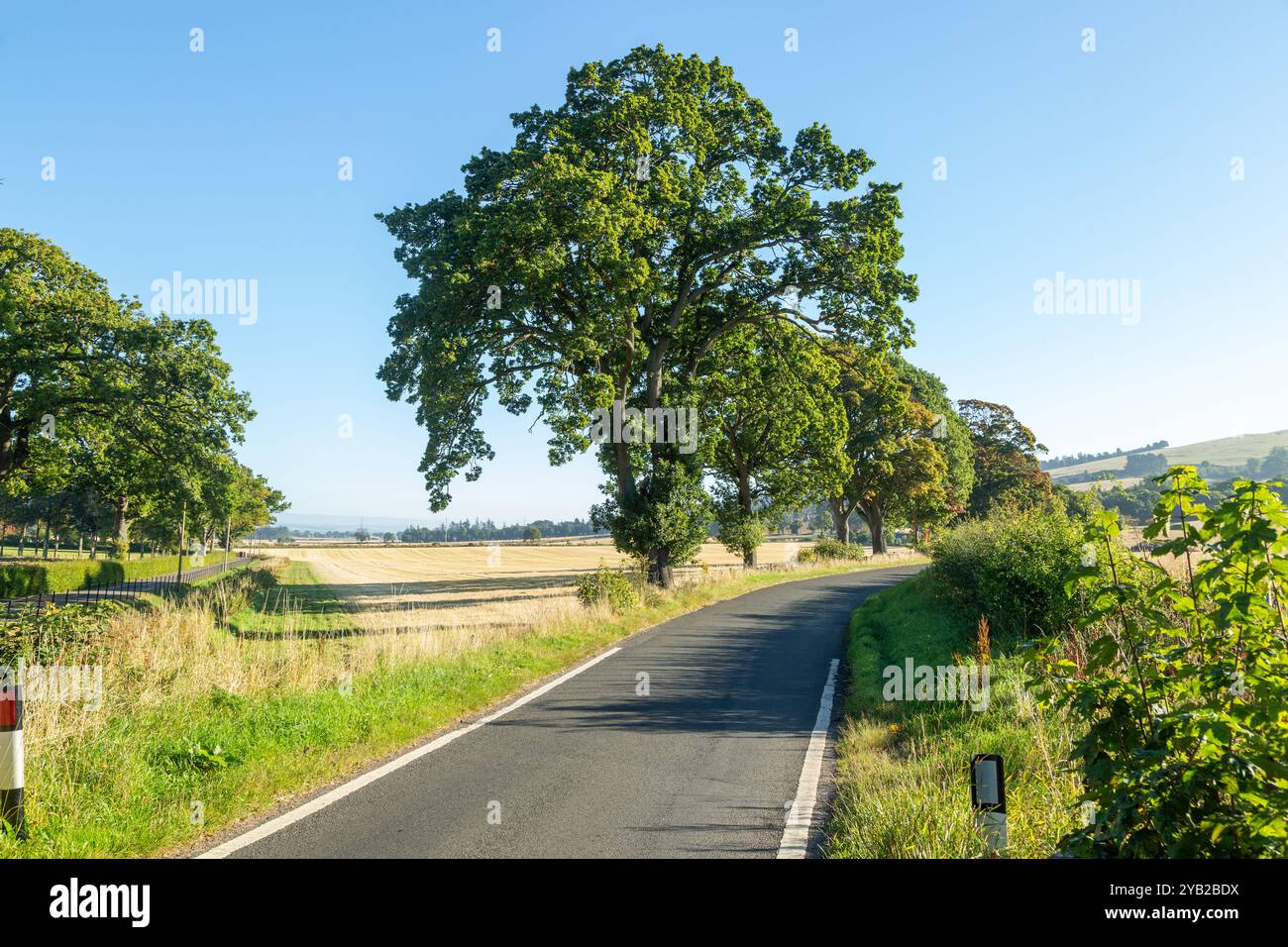 Route de campagne près de Newtyle, Angus, Écosse Banque D'Images