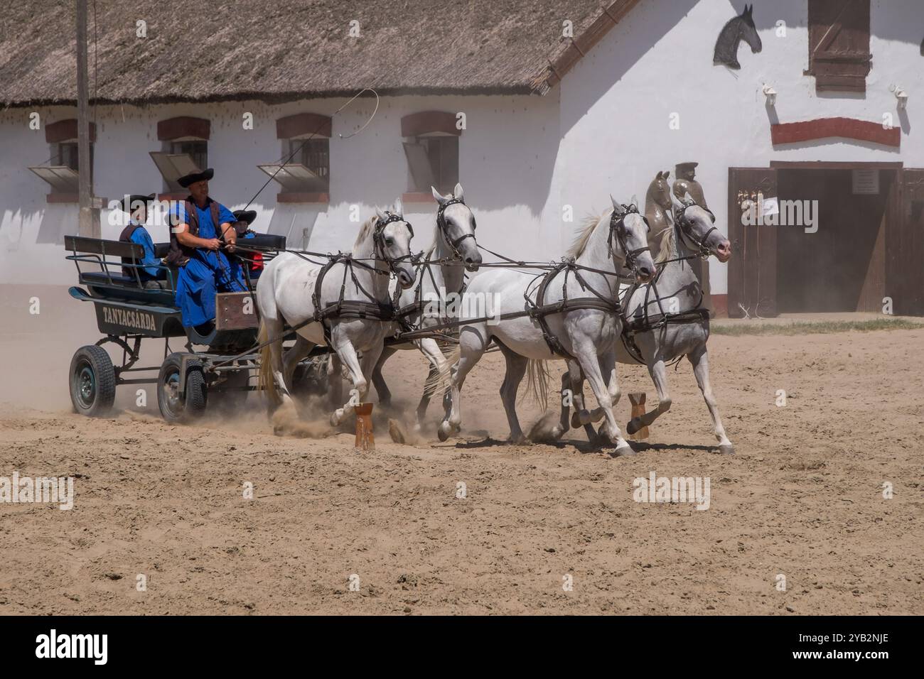 Charrette à cheval et cow-boys hongrois dans une ferme à Puszta Banque D'Images