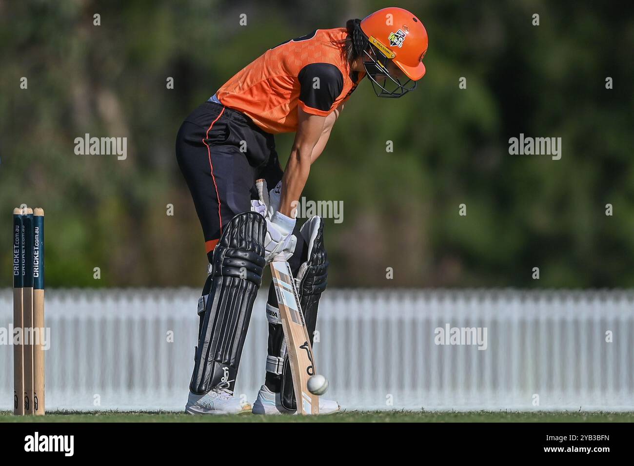 Sydney, Australie. 16 octobre 2024. Stella Campbell de Perth Scorchers réagit lors du T20 Spring Challenge match entre Sydney Thunder et Perth Scorchers à Cricket Central. Le T20 Spring Challenge 2024 est un nouveau tournoi national de cricket féminin pour la saison australienne 2024-25. Sydney Thunder : 183/3, Perth Scorchers : 122/9. Crédit : SOPA images Limited/Alamy Live News Banque D'Images