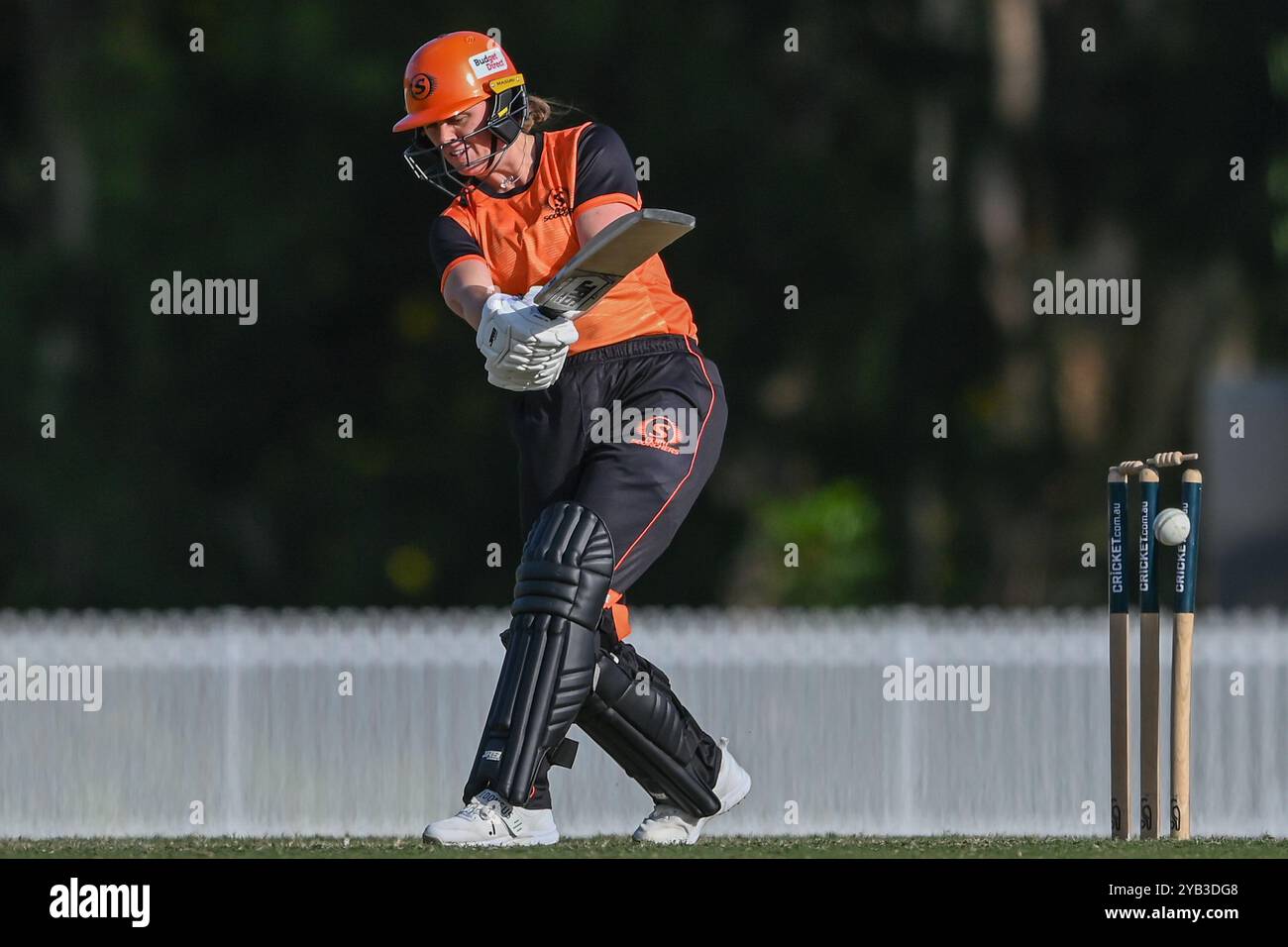 Sydney, Australie. 16 octobre 2024. Zoe Britcliffe de Perth Scorchers vue en action lors du T20 Spring Challenge match opposant Sydney Thunder et Perth Scorchers à Cricket Central. Le T20 Spring Challenge 2024 est un nouveau tournoi national de cricket féminin pour la saison australienne 2024-25. Sydney Thunder : 183/3, Perth Scorchers : 122/9. (Photo de Ayush Kumar/SOPA images/SIPA USA) crédit : SIPA USA/Alamy Live News Banque D'Images