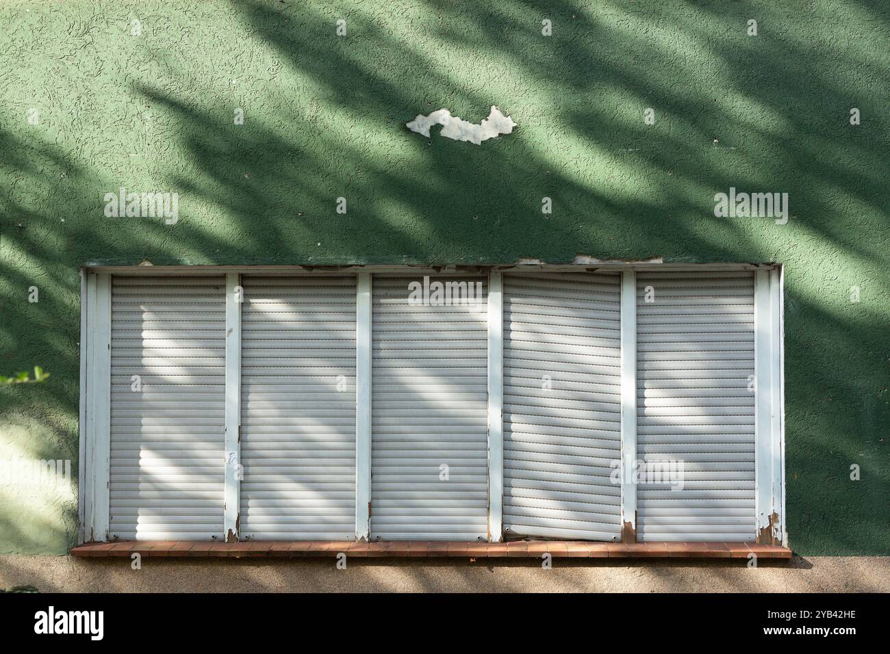 Les branches d'un arbre projettent de longues ombres sur un mur de maison peint en vert. Banque D'Images