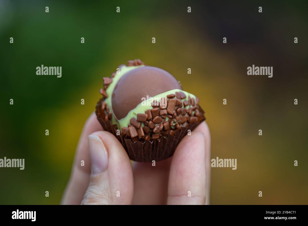 Un paquet de chocolats aux pralinés artisanaux de châtaigne, une spécialité saisonnière faite uniquement à l'automne à Zurich, en Suisse Banque D'Images