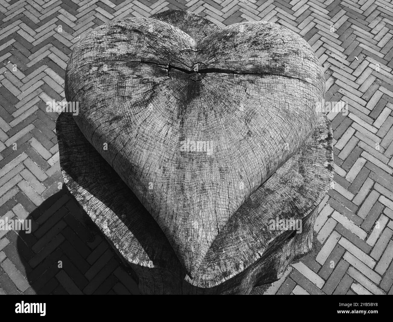 Coeur en bois sur tronc d'arbre, noir et blanc, Roermond, pays-Bas Banque D'Images