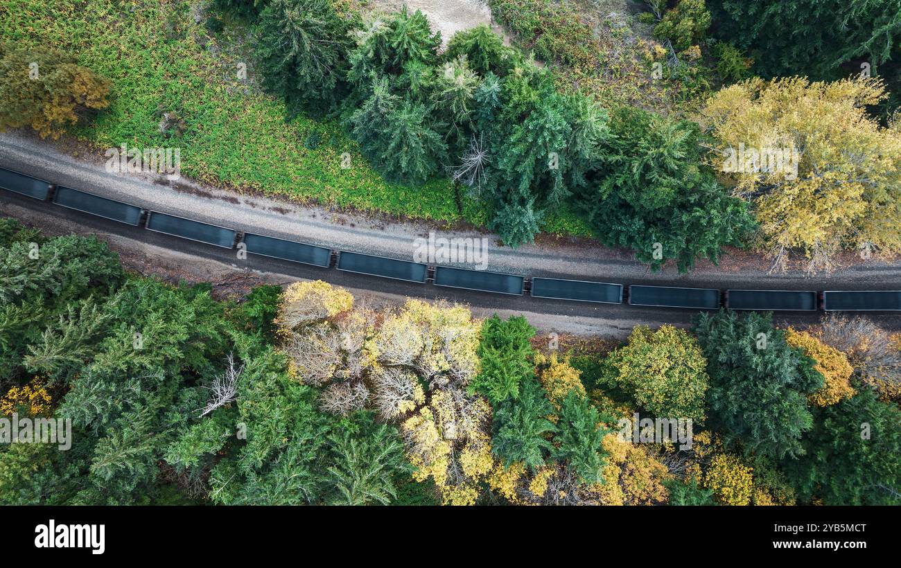 Un train de marchandises chargé de charbon coupe une forêt d'automne dans l'État de Washington, aux États-Unis Banque D'Images Un train de marchandises chargé de charbon coupe une forêt d'automne dans l'État de Washington, aux États-Unis Banque D'Images