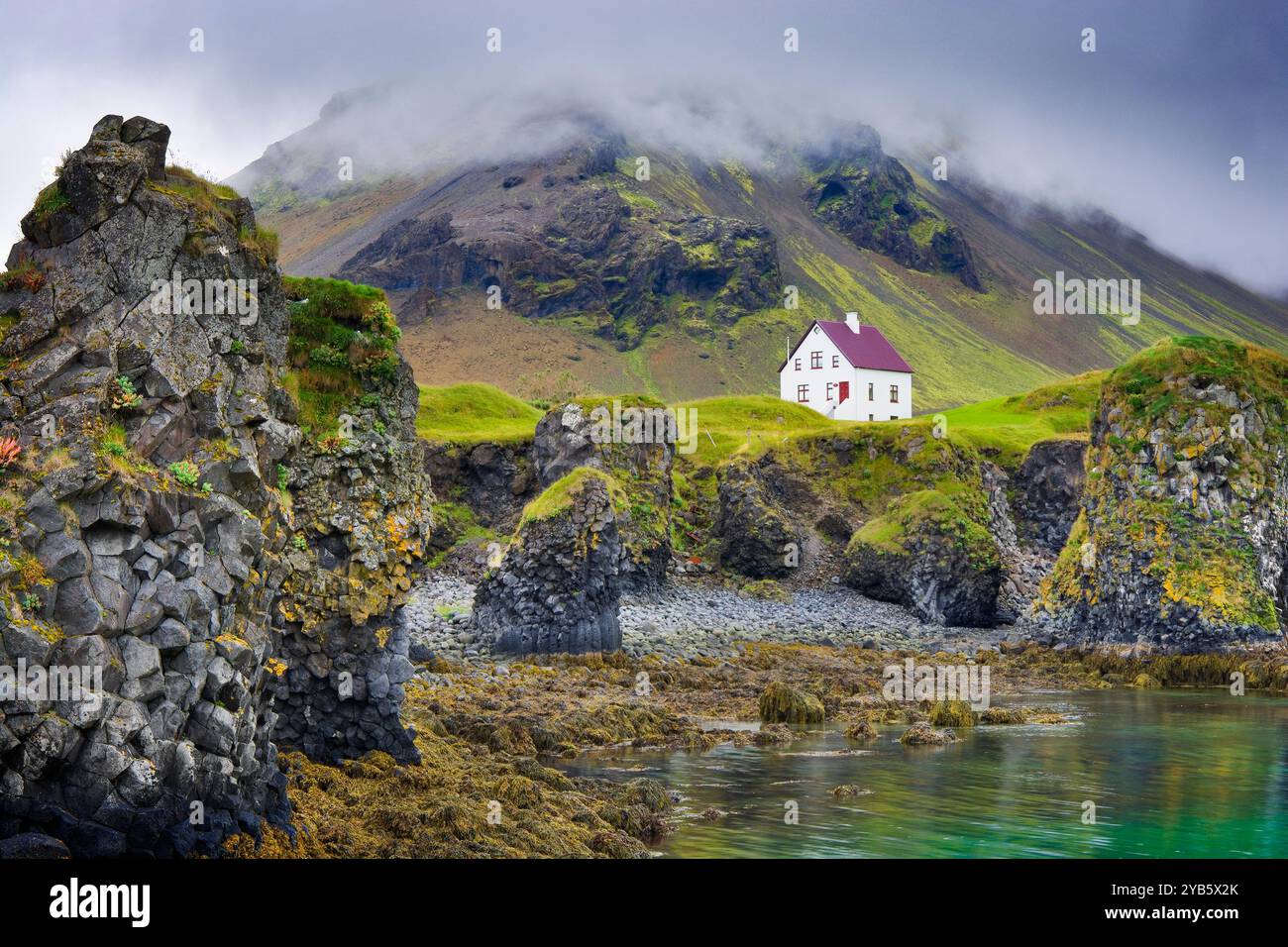 Côte rocheuse d'Arnarstapi, Islande Banque D'Images