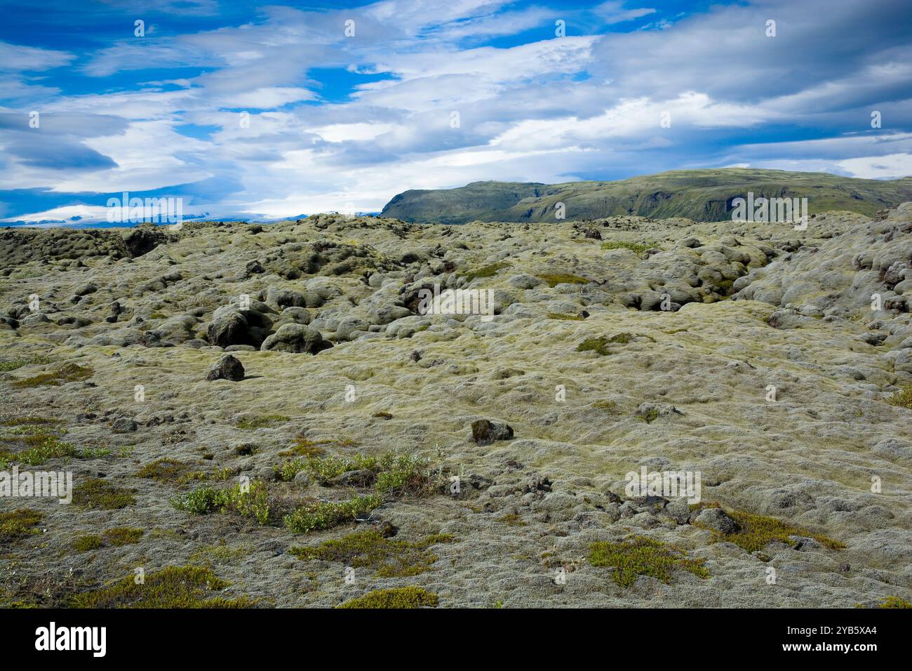 Vue sur le champ de lave d'Eldhraun au sud des hauts plateaux islandais Banque D'Images