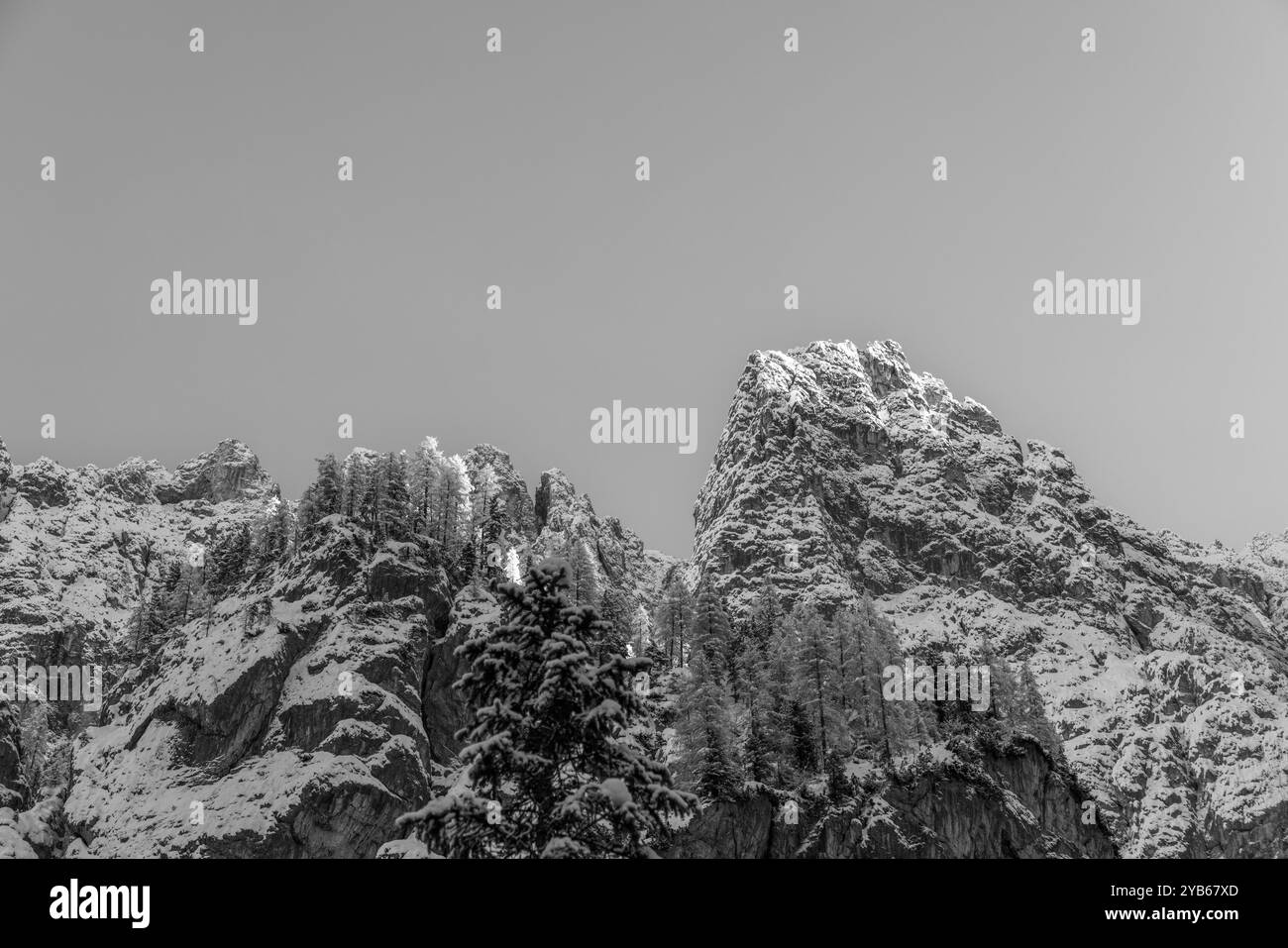 Vue monochrome sur les sommets enneigés des Dolomites dans le Haut-Adige avec des arbres clairsemés accrochés aux falaises rocheuses sous un ciel hivernal clair créant un ciel sombre et Banque D'Images