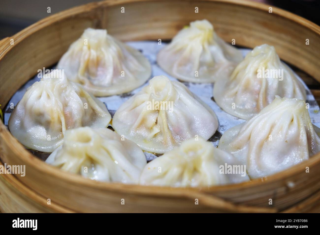 Plusieurs Tangbao chinois (brioches à soupe) dans un cuiseur vapeur en bambou. Petits pains cuits à la vapeur remplis de soupe (baozi) en Chine Banque D'Images