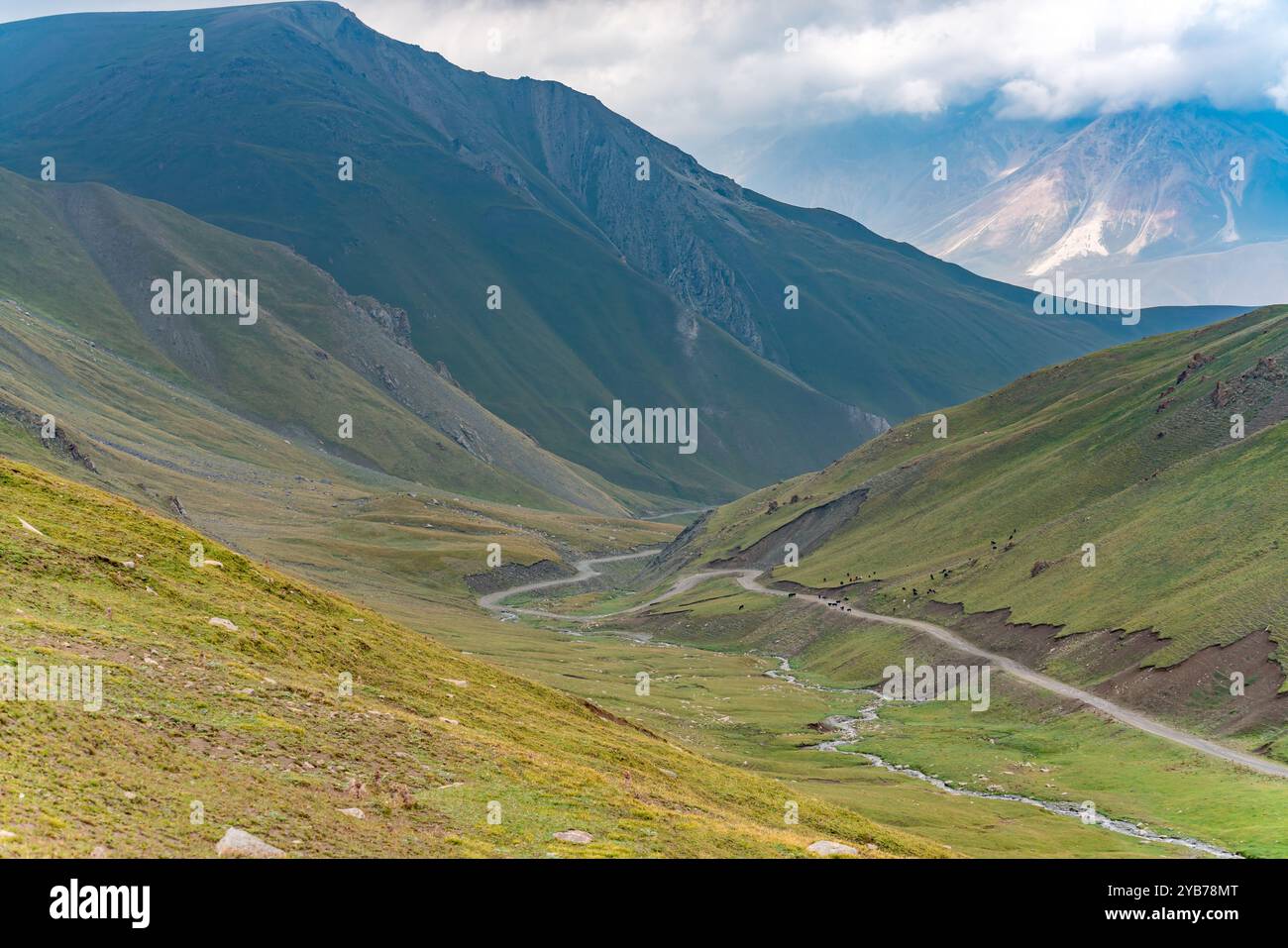 vue de dessus d'une route de montagne serpentine. Un troupeau de bétail sortit du pâturage sur la route. Des traces de glissements de terrain et de chutes de pierres sont visibles Banque D'Images