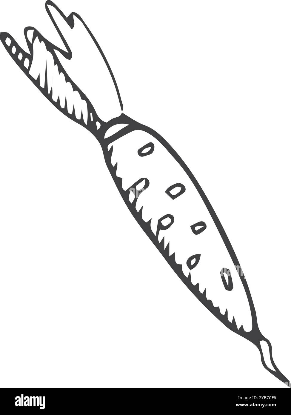 Carotte doodle. Racine végétale biologique dessinée à la main Illustration de Vecteur