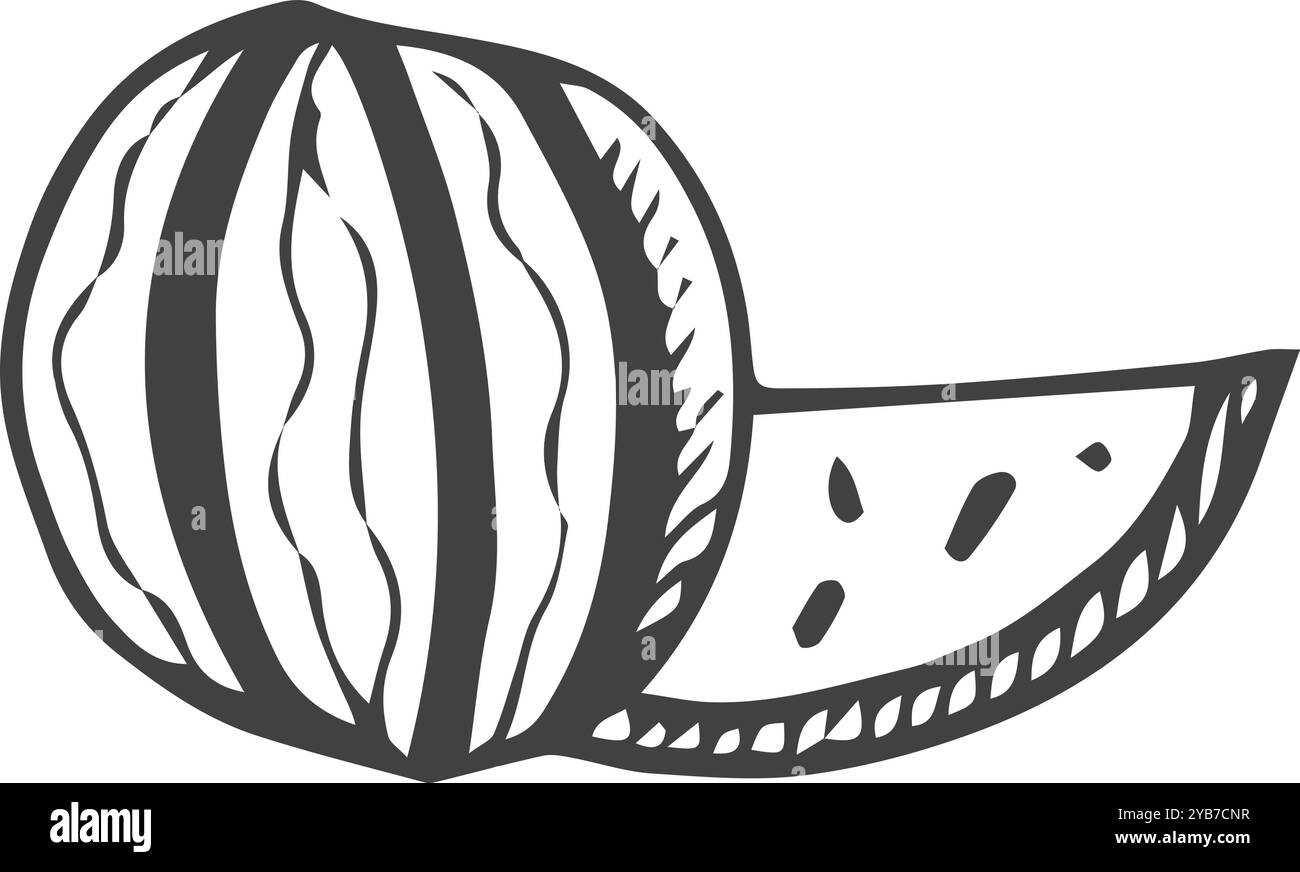 Pastèque doodle. Fruits sucrés entiers et dessin de tranches Illustration de Vecteur