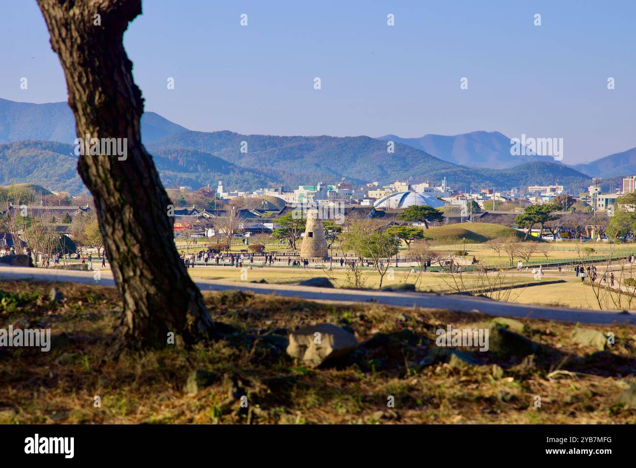 Ville de Gyeongju, Corée du Sud - 11 novembre 2023 : L'observatoire Cheomseongdae, situé au centre d'un vaste parc à Gyeongju, est entouré d'arbres et Banque D'Images