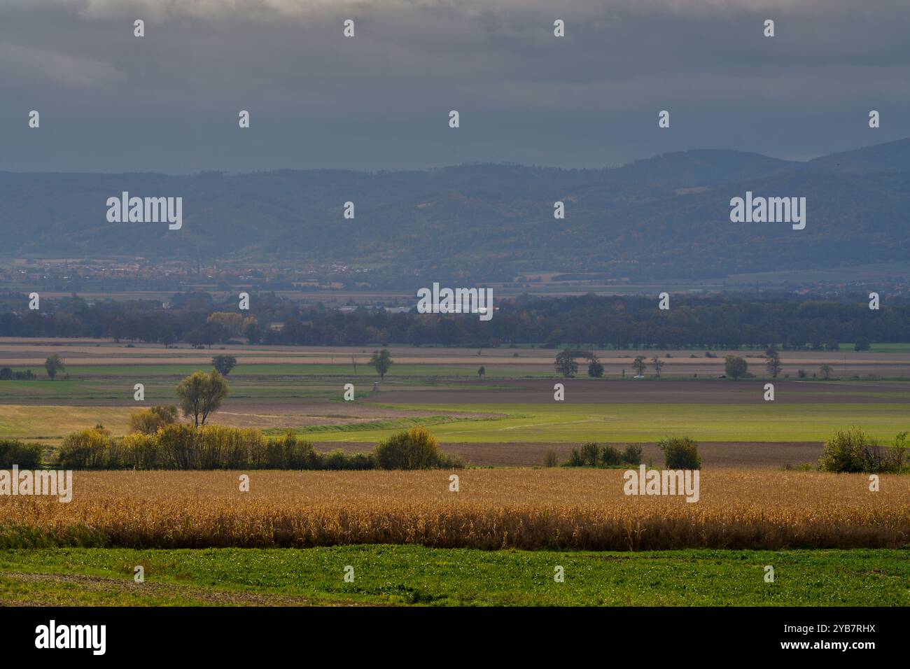 Paysage rural d'automne inférieur de Silésie avec ciel spectaculaire Banque D'Images