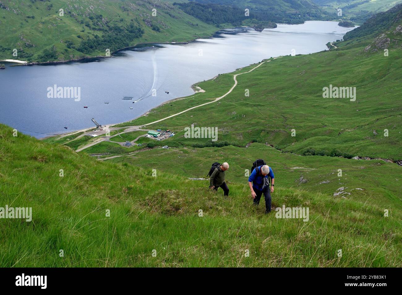 Deux hommes grimpant le Corbett 'Sgurr Ghiubhsachain' de la ferme piscicole de Guesachan sur le Loch Shiel près de Glenfinnan dans les Highlands écossais, en Écosse. Banque D'Images