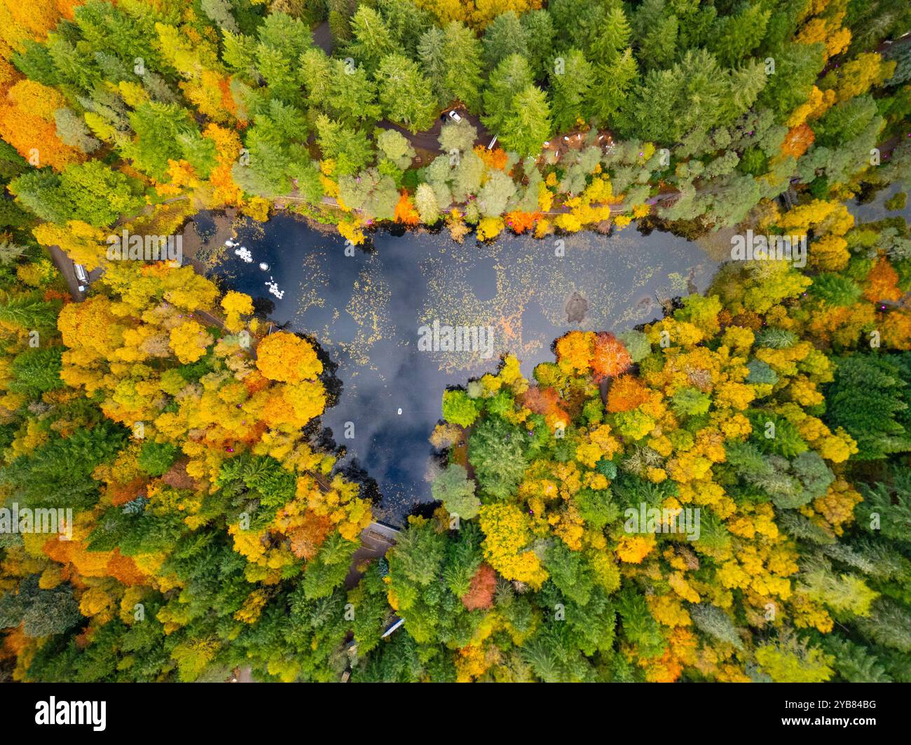 Pitlochry, Écosse, Royaume-Uni. 17 octobre 2024. Vue aérienne du Loch Dunmore, l'emplacement de la Forêt enchantée , entouré de bois aux couleurs d'automne à Pitlochry, Perthshire. Iain Masterton/ Alamy Live News Banque D'Images