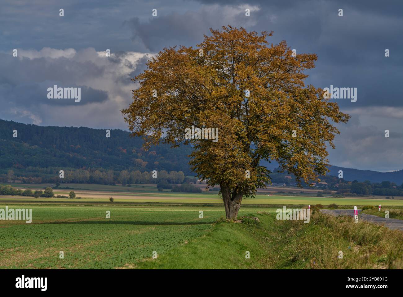 Paysage rural d'automne inférieur de Silésie avec ciel spectaculaire Banque D'Images