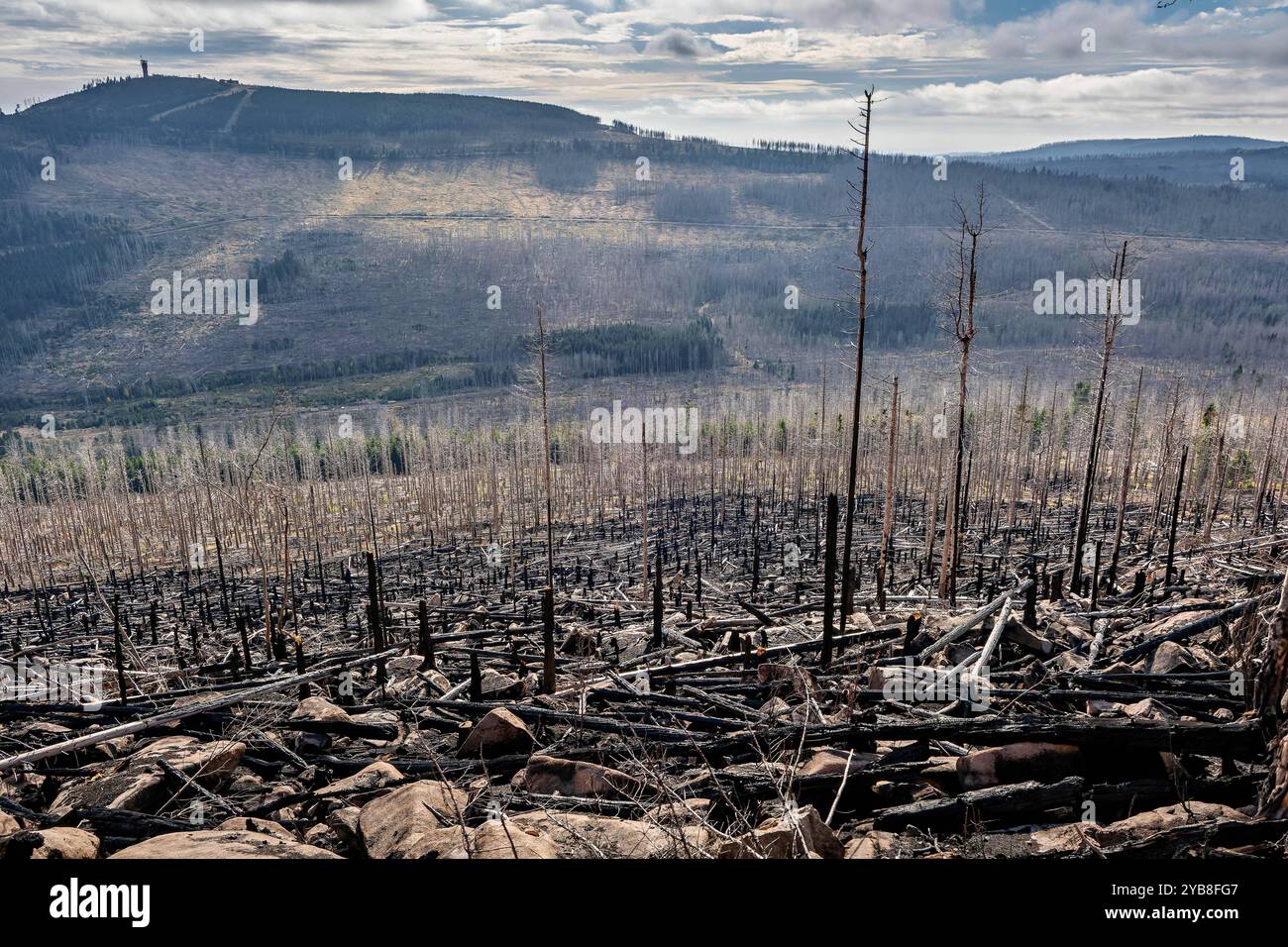 17.10.2024 Blick über abgestorbene Bäume, die während des letzten großen Brandes, der Anfang September dieses Jahres entlang der Strecke der Harzer Schmalspurbahnen im Landkreis Harz in Sachsen-Anhalt erst nach in gelöscht Einsatz von hunderten Feuerwehrleuten mehrtägigem wurde. IM Hintergrund ist der Wurmberg in Niedersachsen zu sehen. Schierke Sachsen-Anhalt Deutschland *** 17 10 2024 vue sur les arbres morts qui ont été éteints lors du dernier incendie majeur le long de la route du chemin de fer à voie étroite Harz dans le district Harz de Saxe-Anhalt au début de septembre de cette année seulement après plusieurs jours Banque D'Images