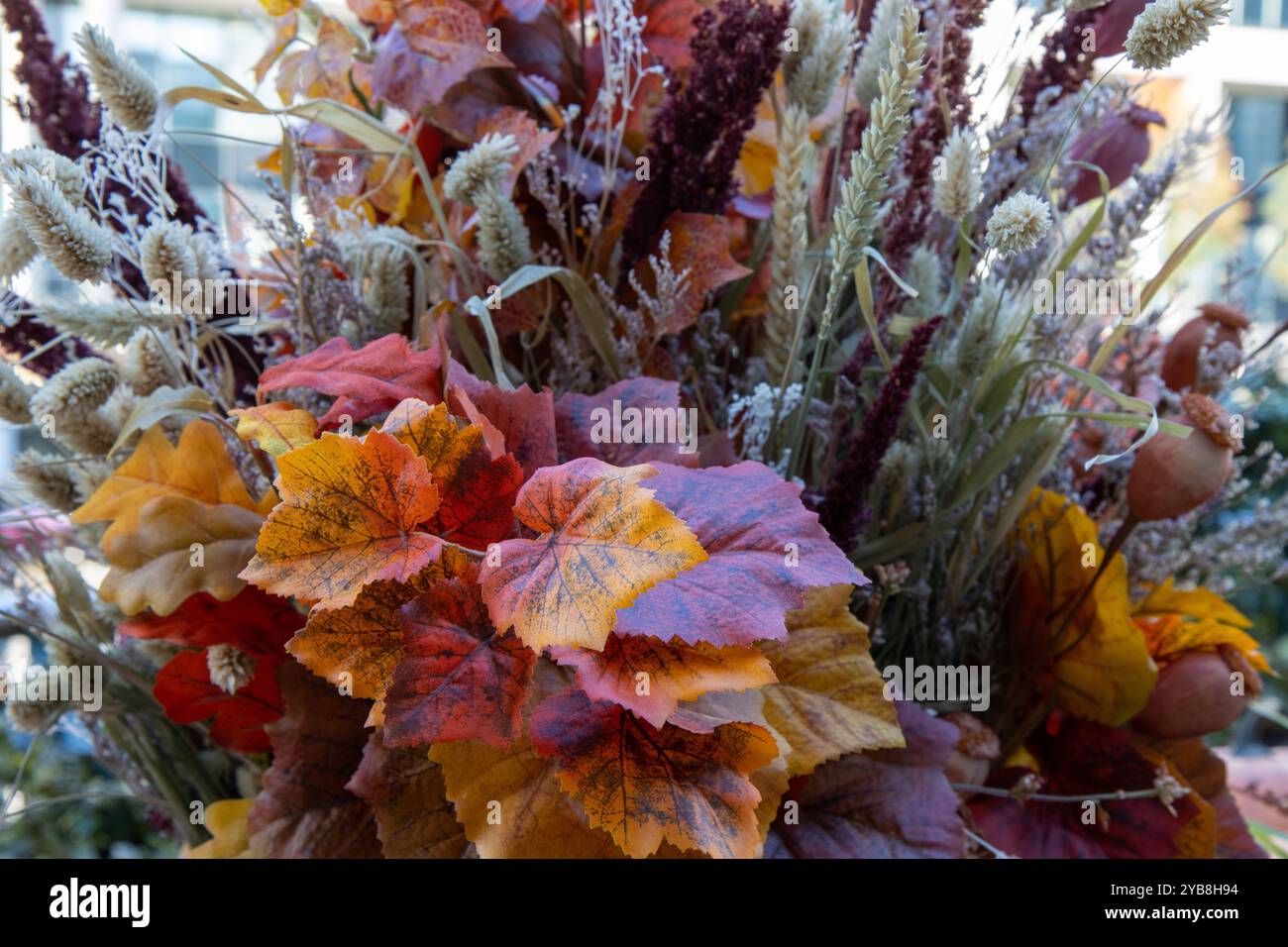 Un bouquet de fleurs d'automne colorées Banque D'Images