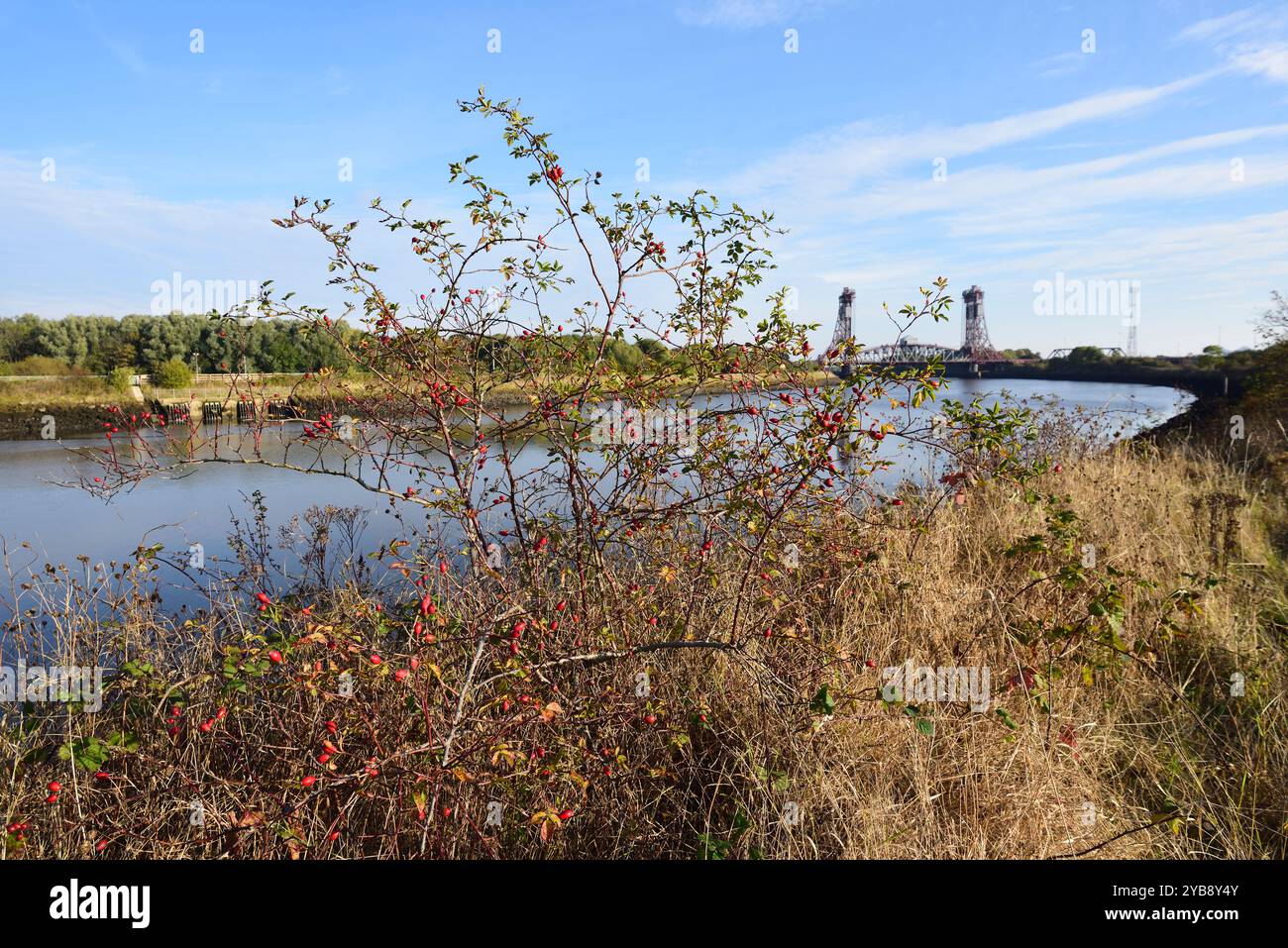 Une vue lointaine de Newport Bridge, Middlesbrough, au-dessus de la rivière Tees. Banque D'Images
