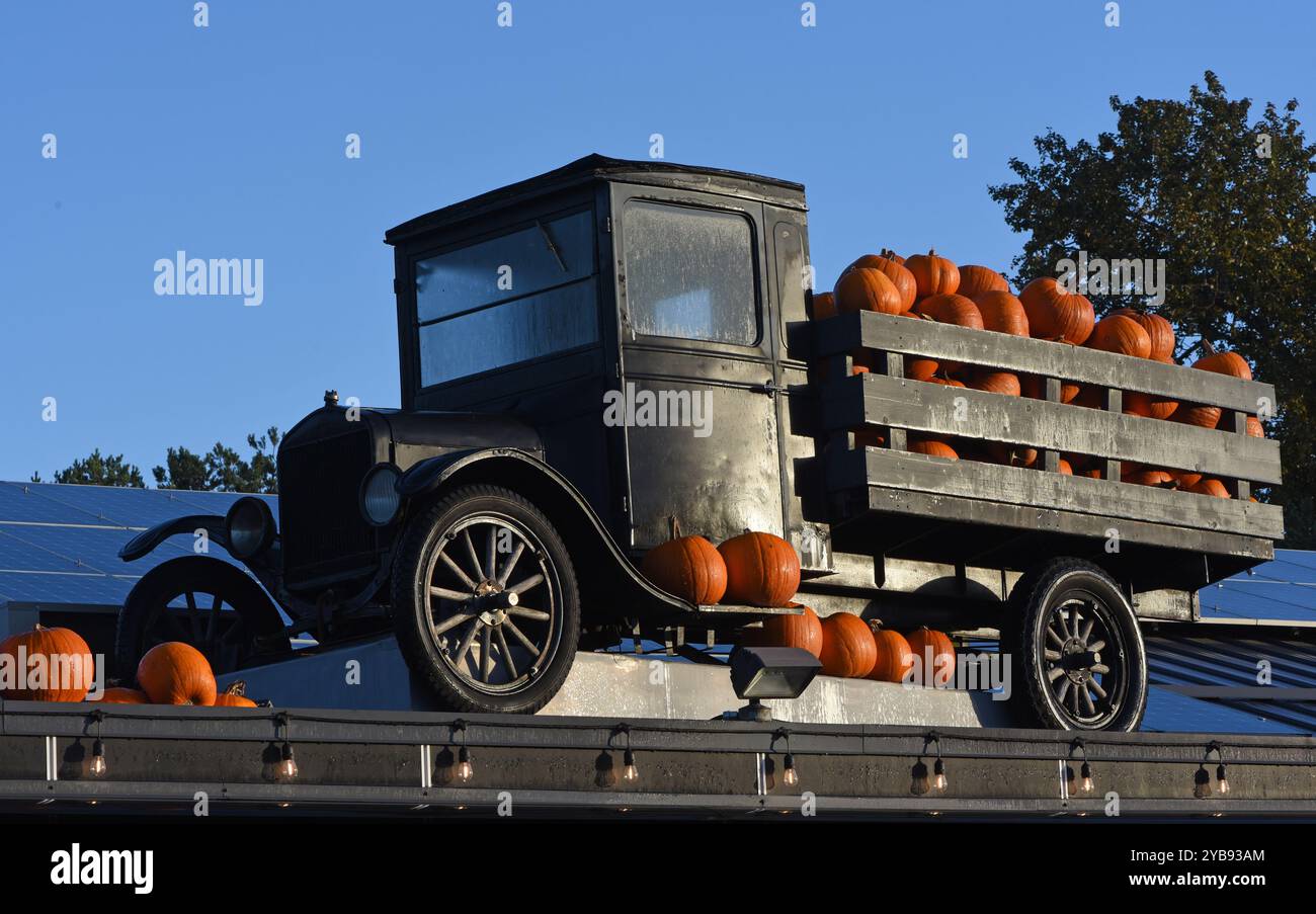 Un camion antique chargé de citrouilles se trouve sur le toit d'un marché agricole sur l'île de Vancouver, Colombie-Britannique, Canada Banque D'Images