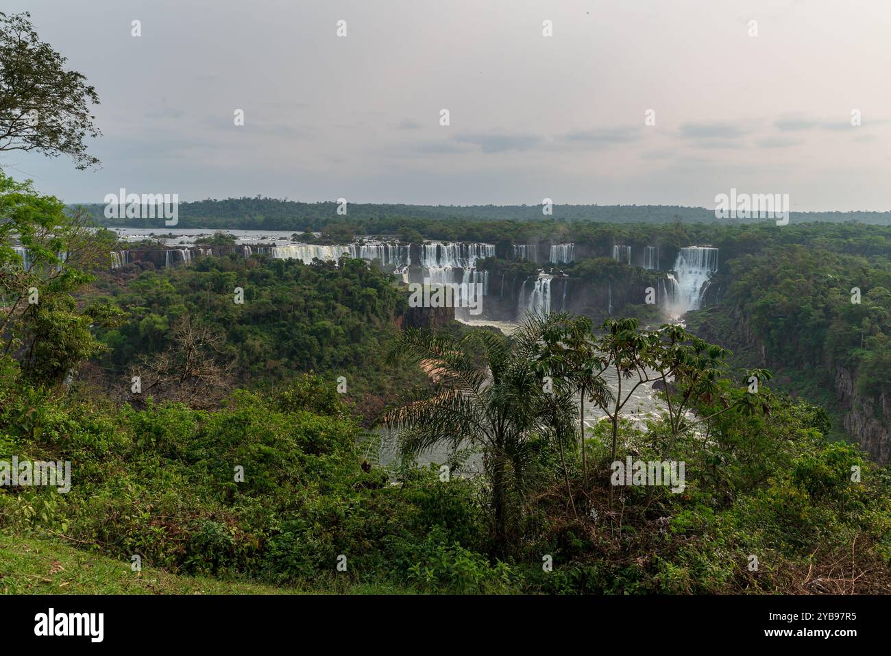 Photo des chutes d'Iguazu au Brésil. Photo de haute qualité Banque D'Images