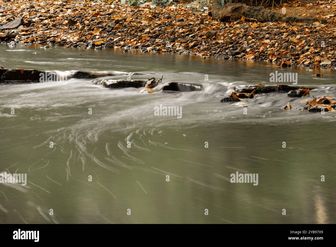 Photographie longue exposition du ruisseau Borsdane, à Borsdane Woods, Wigan, Greater Manchester. Banque D'Images