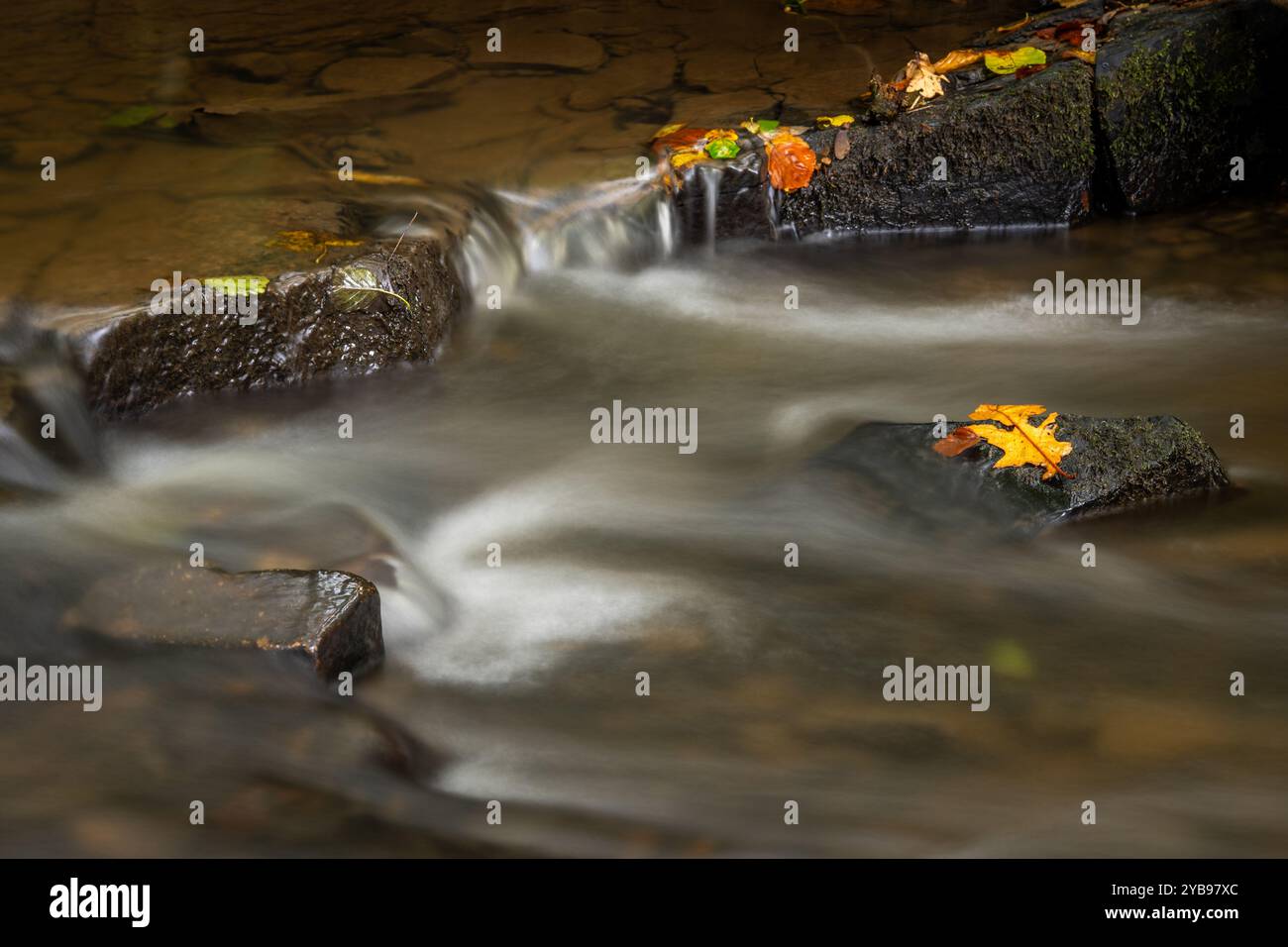 Photographie longue exposition du ruisseau Borsdane, à Borsdane Woods, Wigan, Greater Manchester. Banque D'Images
