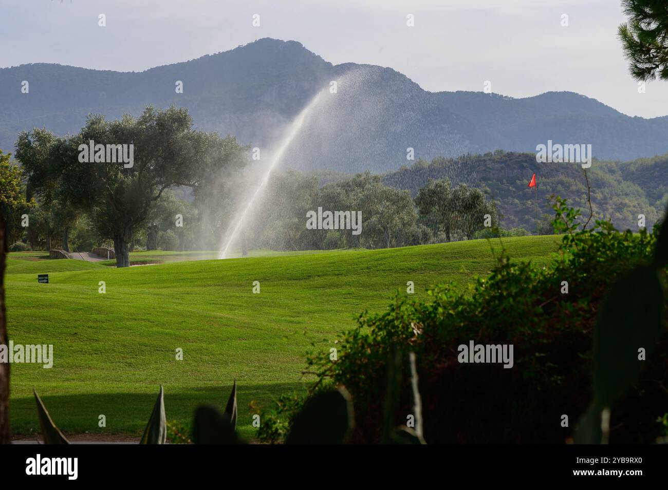 Un parcours de golf tranquille prend vie dans la lumière du matin, avec des fairways verdoyants et des jets d'eau pétillants du système d'irrigation, mis contre ma Banque D'Images