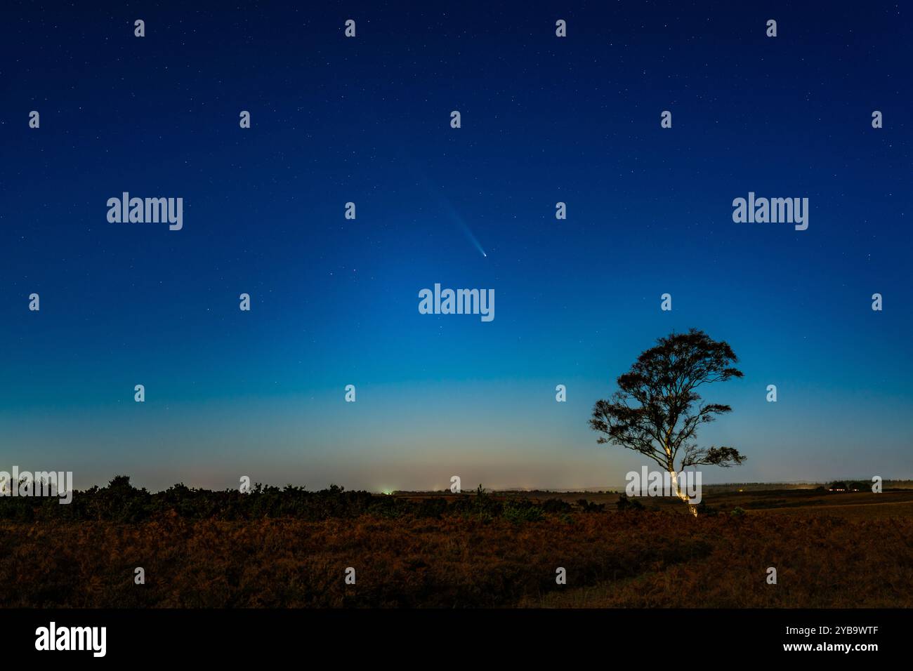 Comète A3 vue au-dessus de la New Forest Banque D'Images