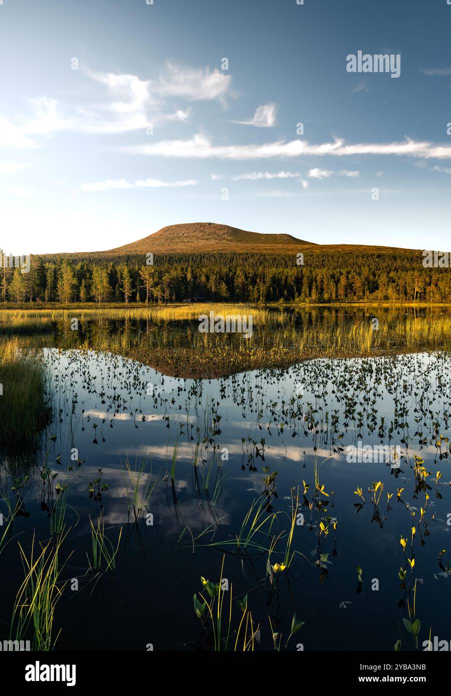 Heure d'or, la montagne Städjan met en valeur son reflet symétrique dans le lac serein entouré de verdure luxuriante et de la nature d'Idre Dalarna Suède Banque D'Images