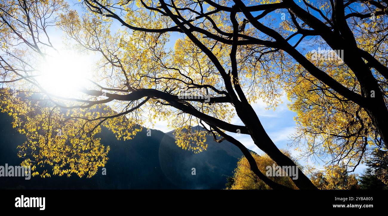 Automne dans les airs, fond coloré avec des feuilles d'automne, chaîne de montagnes, nuages et lumière du soleil, Queenstown, Nouvelle-Zélande. Banque D'Images