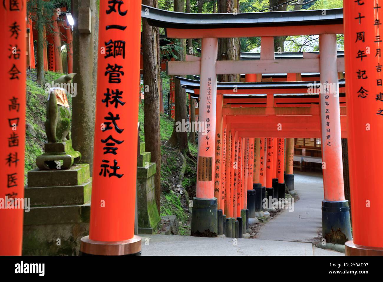 Portes Senbon Torii dans le sanctuaire Fushimi Inari-taisha avec une statue de kitsune en pierre (un renard surnaturel) à côté. Kyoto, Kansai, Japon Banque D'Images