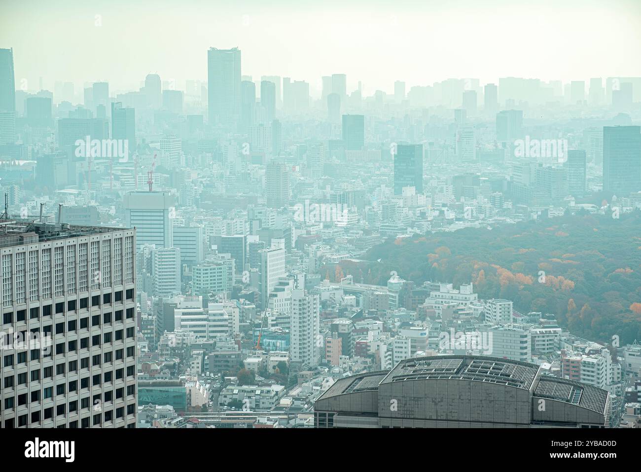 Tokyo Skyline depuis Shinjuku, Japon Banque D'Images