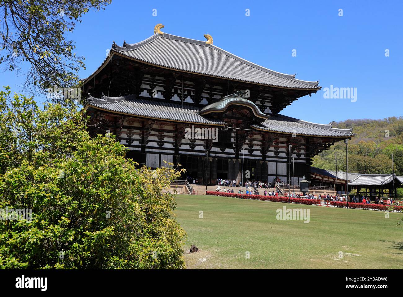 Grande salle de Bouddha du Temple Todaiji (Grand Temple de l'est) . Nara, Japon Banque D'Images