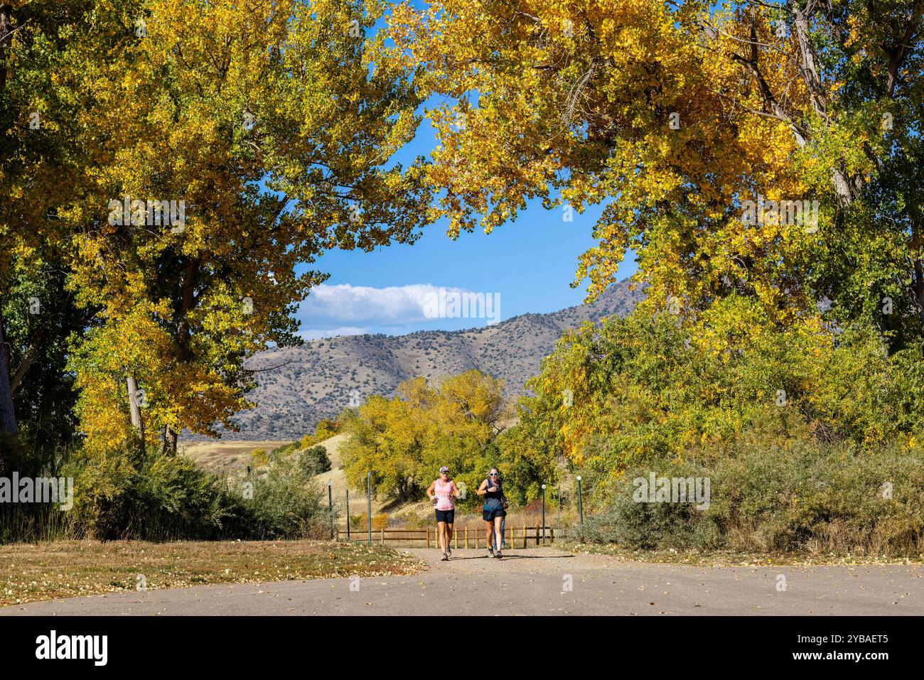Deux femmes courent entourées de feuillage d'automne au Bear Creek Lake Park, Lakewood, Colorado, États-Unis Banque D'Images