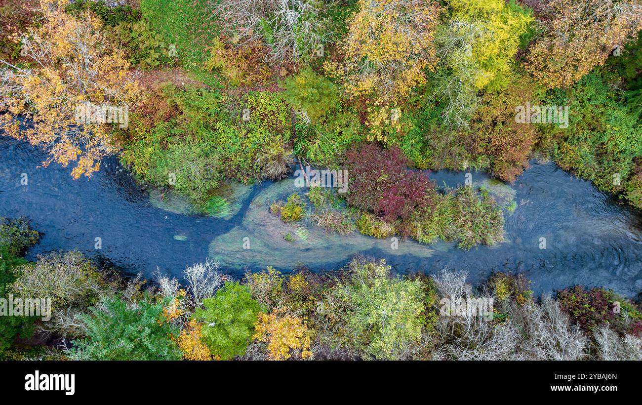 Vue aérienne du feuillage d'automne à Whatcom Falls, Bellingham, Washington, États-Unis Banque D'Images