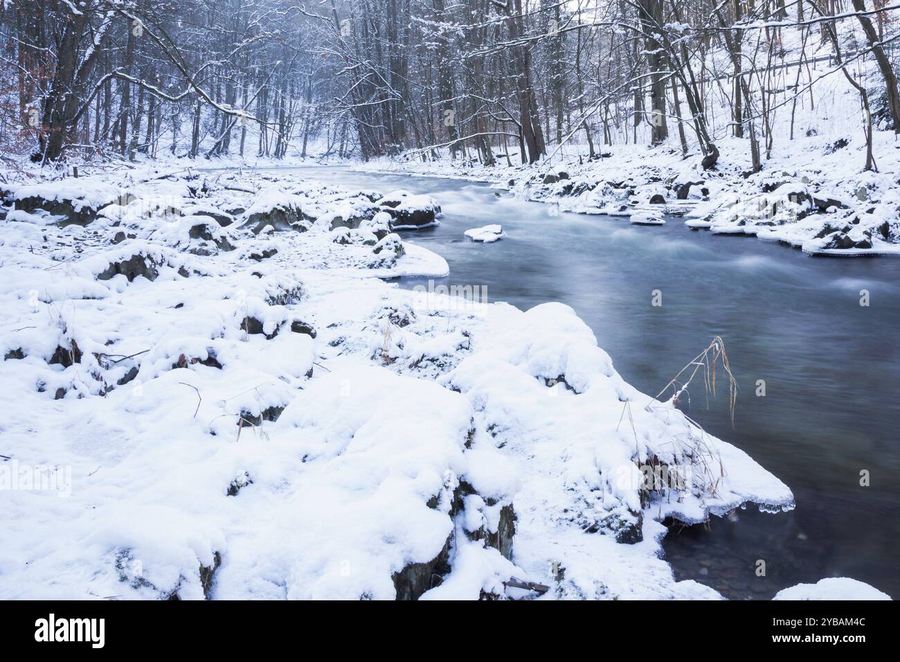 Der Fluss Schwarza im Thueringer Schwarzatal, la rivière Schwarza en Thuringe Schwarzatal Banque D'Images