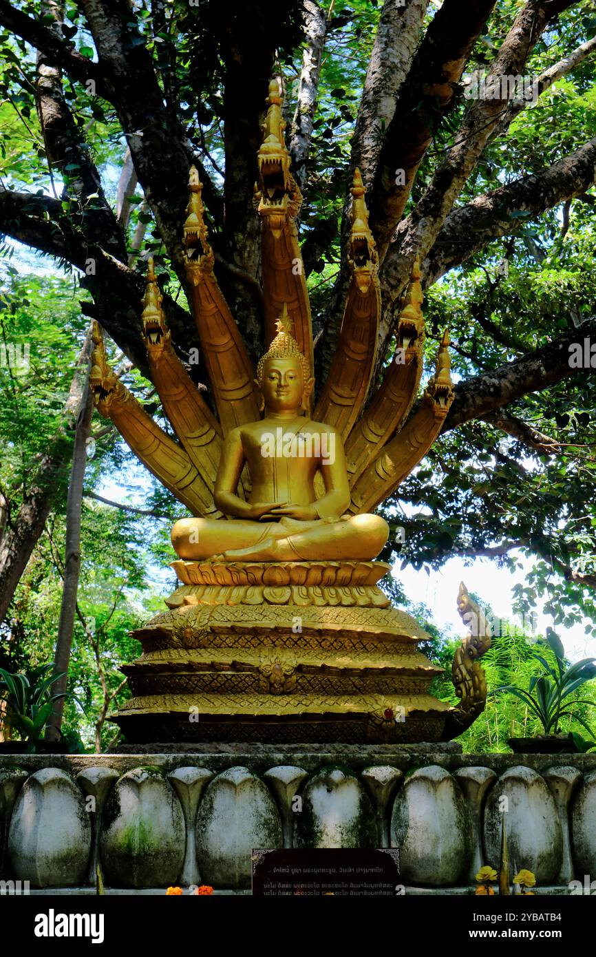 Une statue dorée de Bouddha assis gardée par Nagas, les serpents d'eau mythiques sur la colline de Phou si. Luang Prabang. Laos Banque D'Images