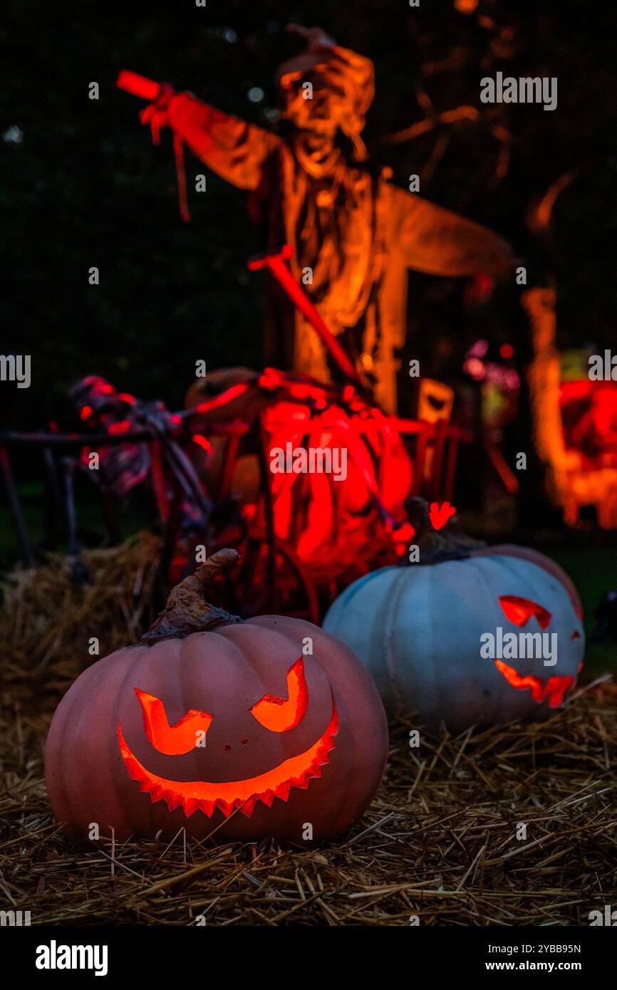 Londres, Royaume-Uni. 17 octobre 2024. A possessed Pumpkin Farm - Aperçu d'un nouveau sentier lumineux d'Halloween transformant Kew Gardens. Halloween à Kew est une sortie pour les visiteurs de tous âges, qui se déroulera du vendredi 18 octobre au dimanche 3 novembre 2024. Crédit : Guy Bell/Alamy Live News Banque D'Images