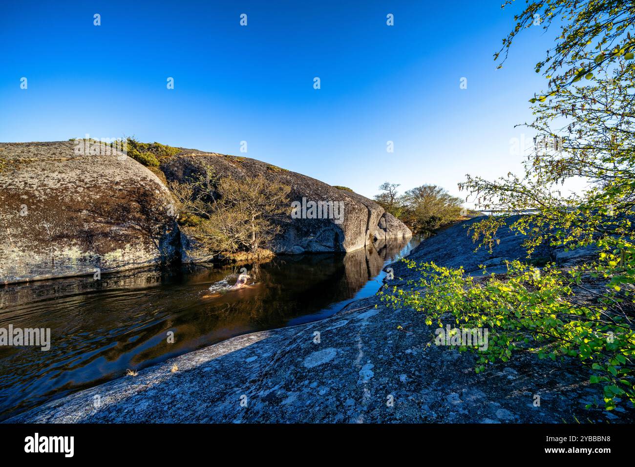 Baignade dans le lac d'eau fermé de l'île de Björkö, Parainen, Finlande Banque D'Images