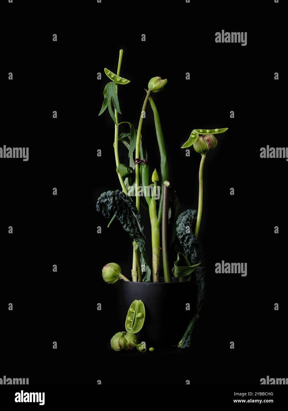 Arrangement dramatique de nature morte tiges vertes et légumes dans la plante en pot sur fond noir Banque D'Images