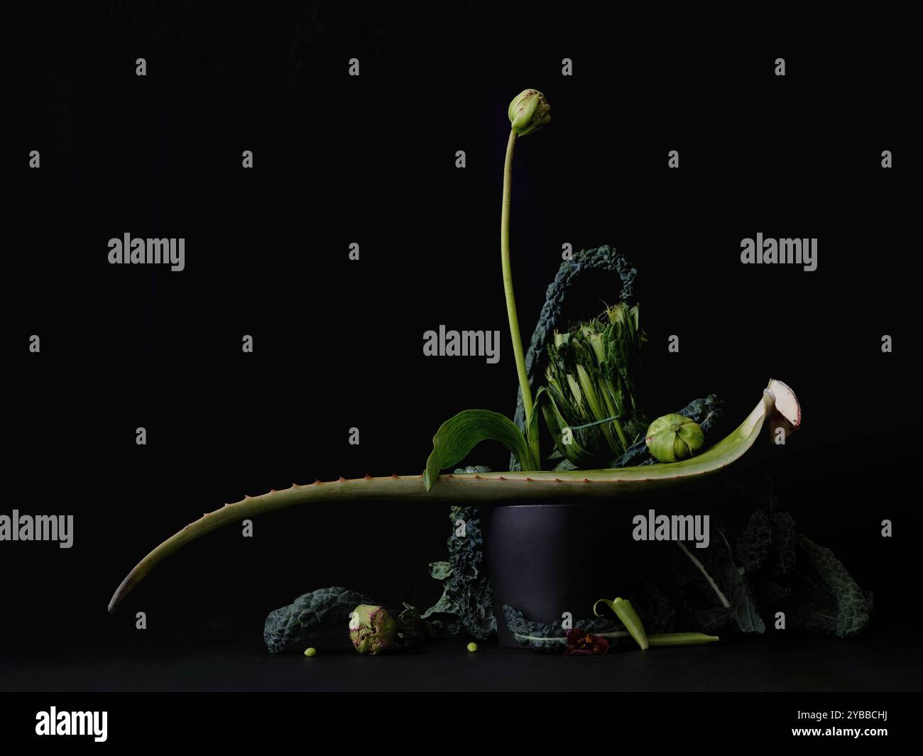 Légumes verts de nature morte dramatique, aloe vera et fleur en pot sur fond noir Banque D'Images