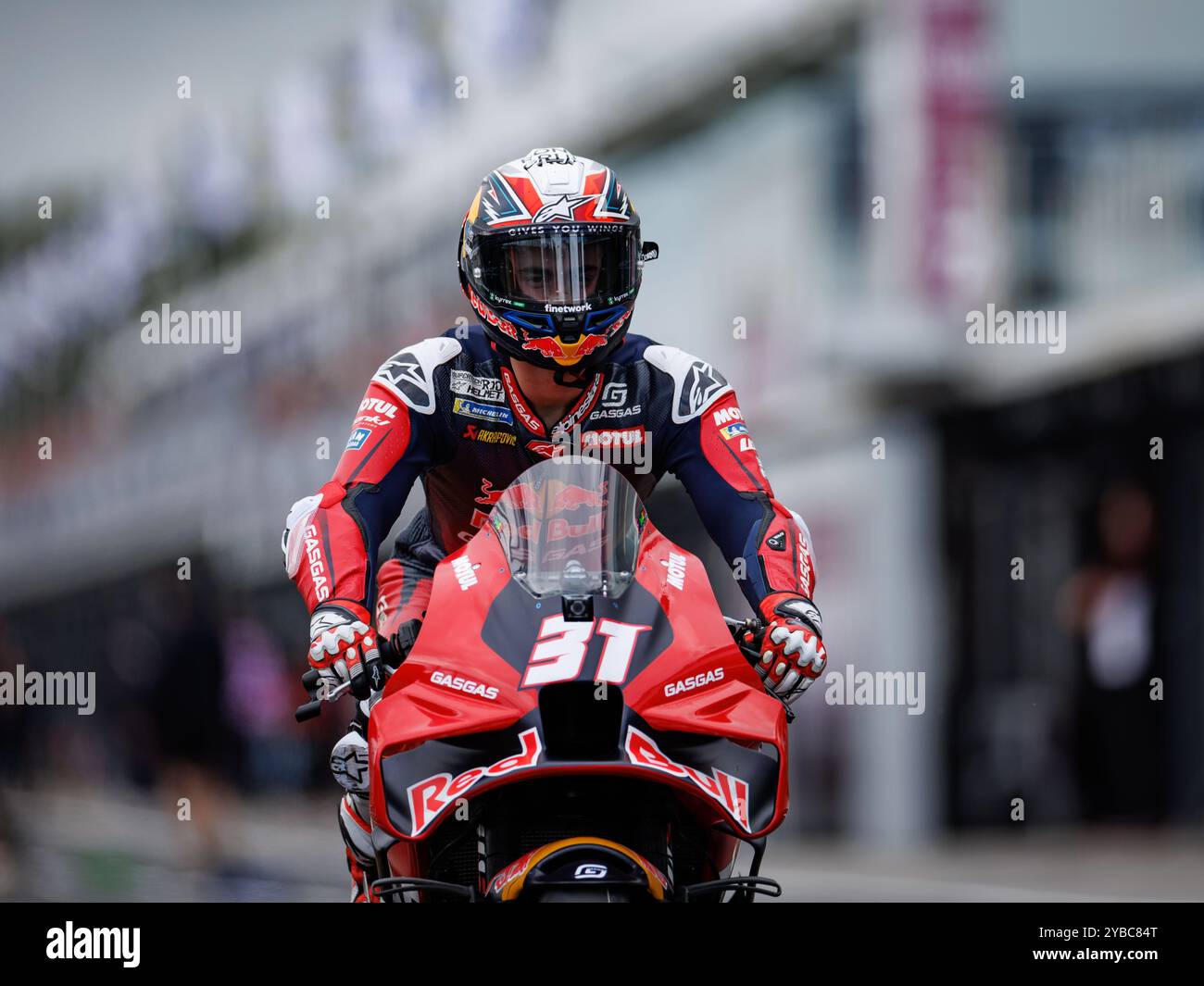 Phillip Island, Australie. 18 octobre 2024. Phillip Island, le 18 octobre 2024 : Pedro Acosta (ESP) de Tech3 GasGas Factory Racing, dans la voie des stands lors du MotoGP australien 2024. Alamy Live News/Corleve crédit : Corleve/Alamy Live News Banque D'Images