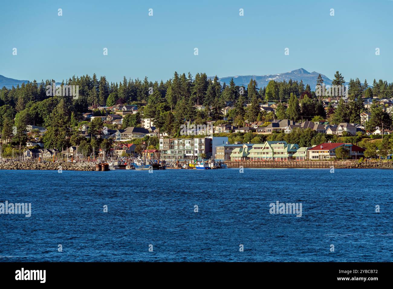 Campbell River City, Vancouver Island, Colombie-Britannique, Canada. Banque D'Images