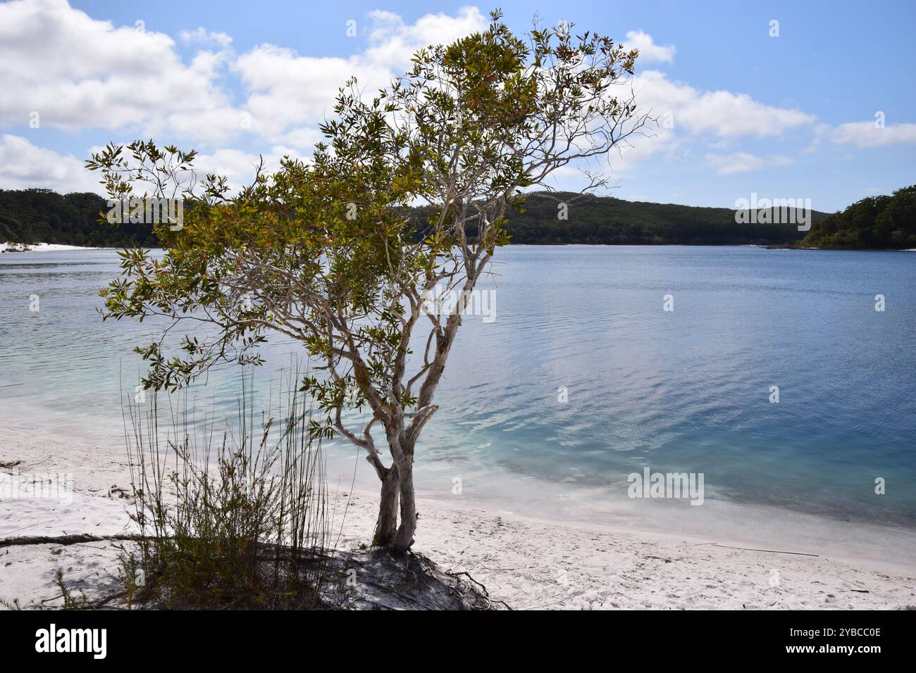 Lac Makenzie K'gari Island Australie Banque D'Images