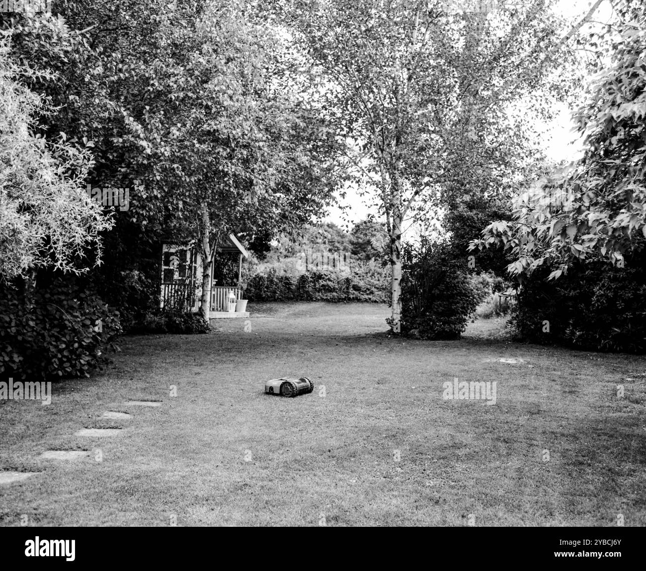 Robot tondeuse Banque D'Images