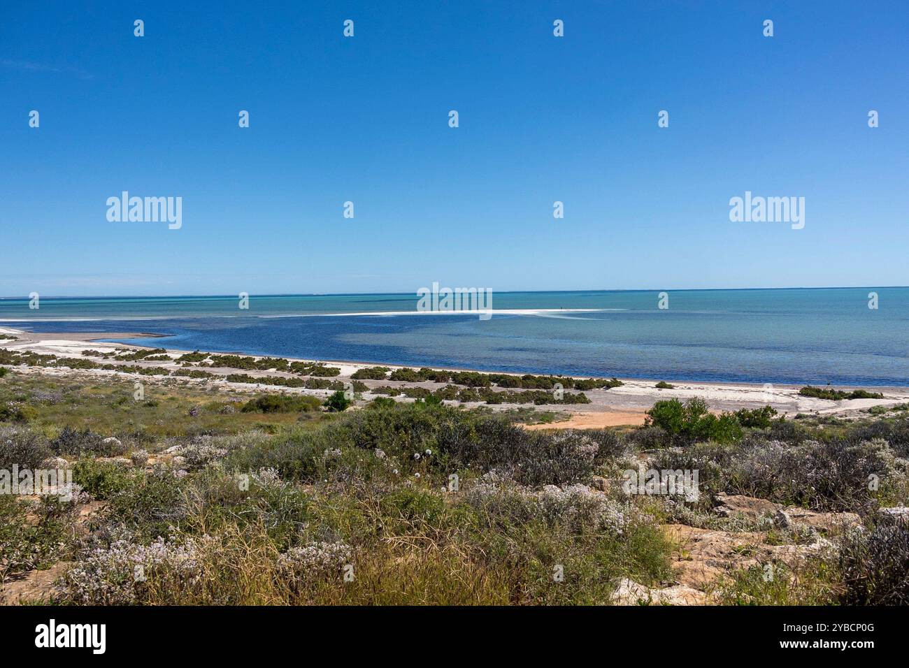 Vue sur Turquoise Bay à Shark Bay en Australie occidentale. Paysage accidenté avec l'océan en face de la colline. Banque D'Images